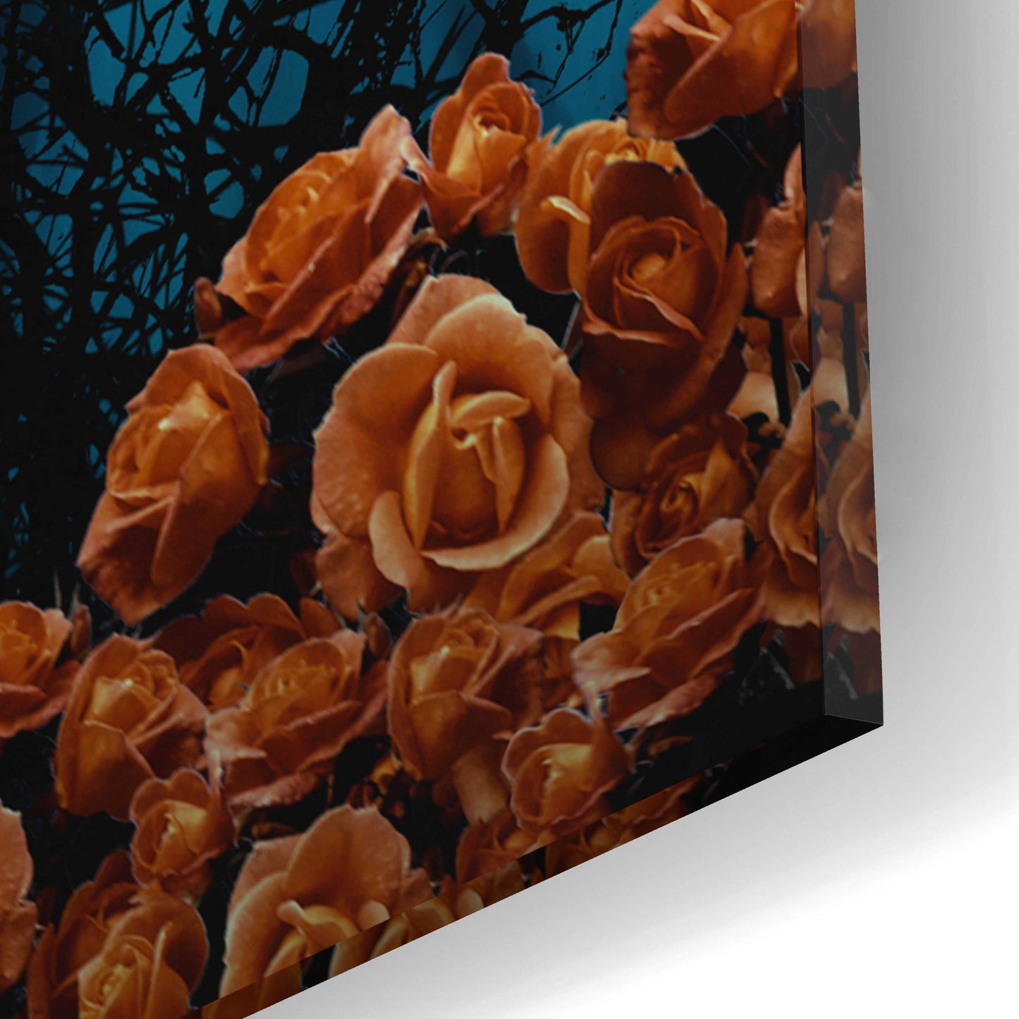 Epic Art 'Twilight' by JJ Brando, Acrylic Glass Wall Art,12x16