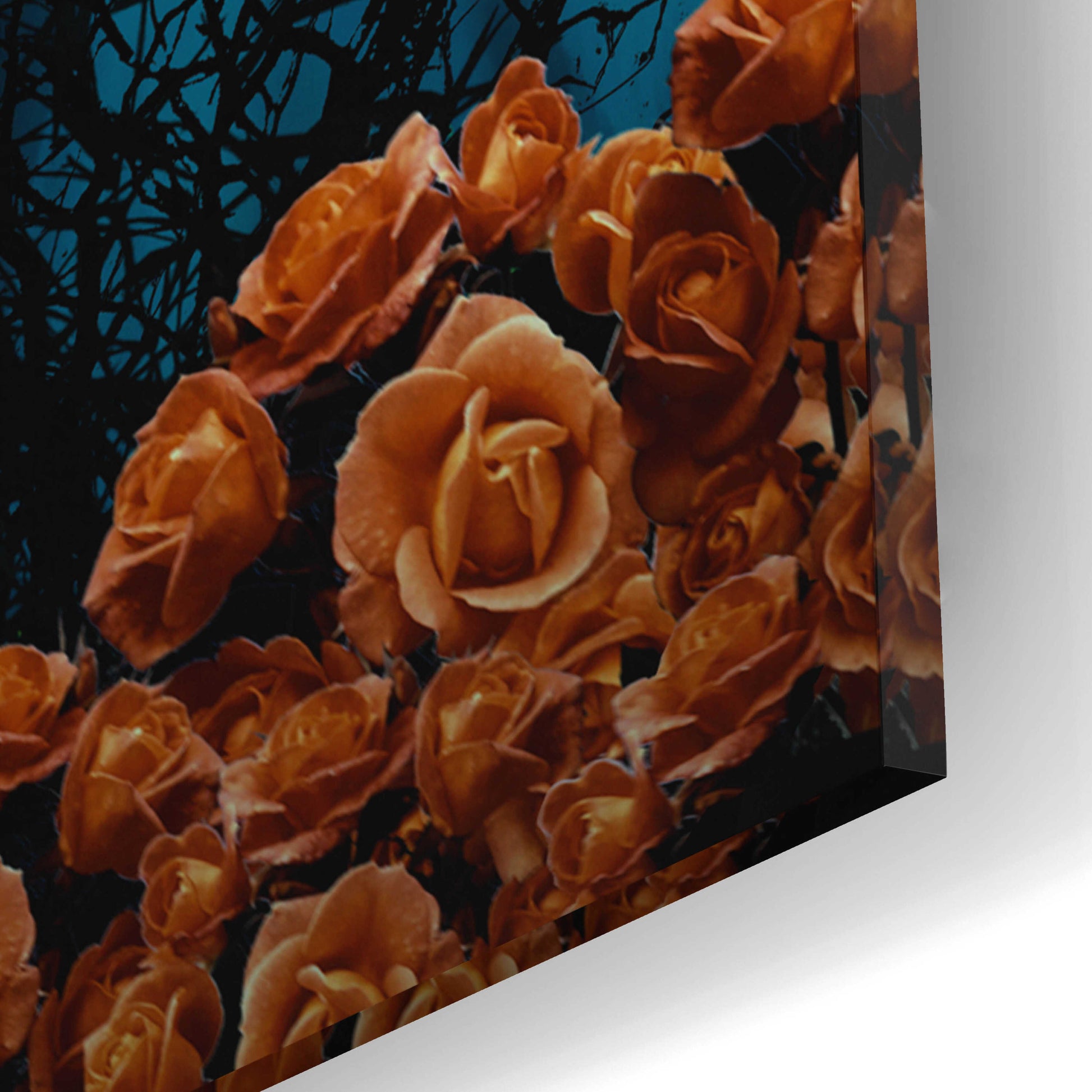 Epic Art 'Twilight' by JJ Brando, Acrylic Glass Wall Art,12x16