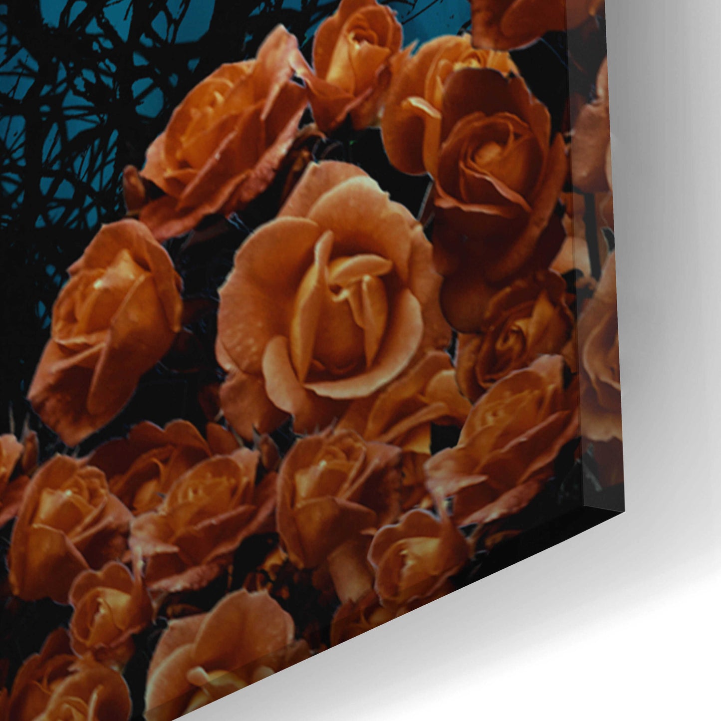 Epic Art 'Twilight' by JJ Brando, Acrylic Glass Wall Art,16x24