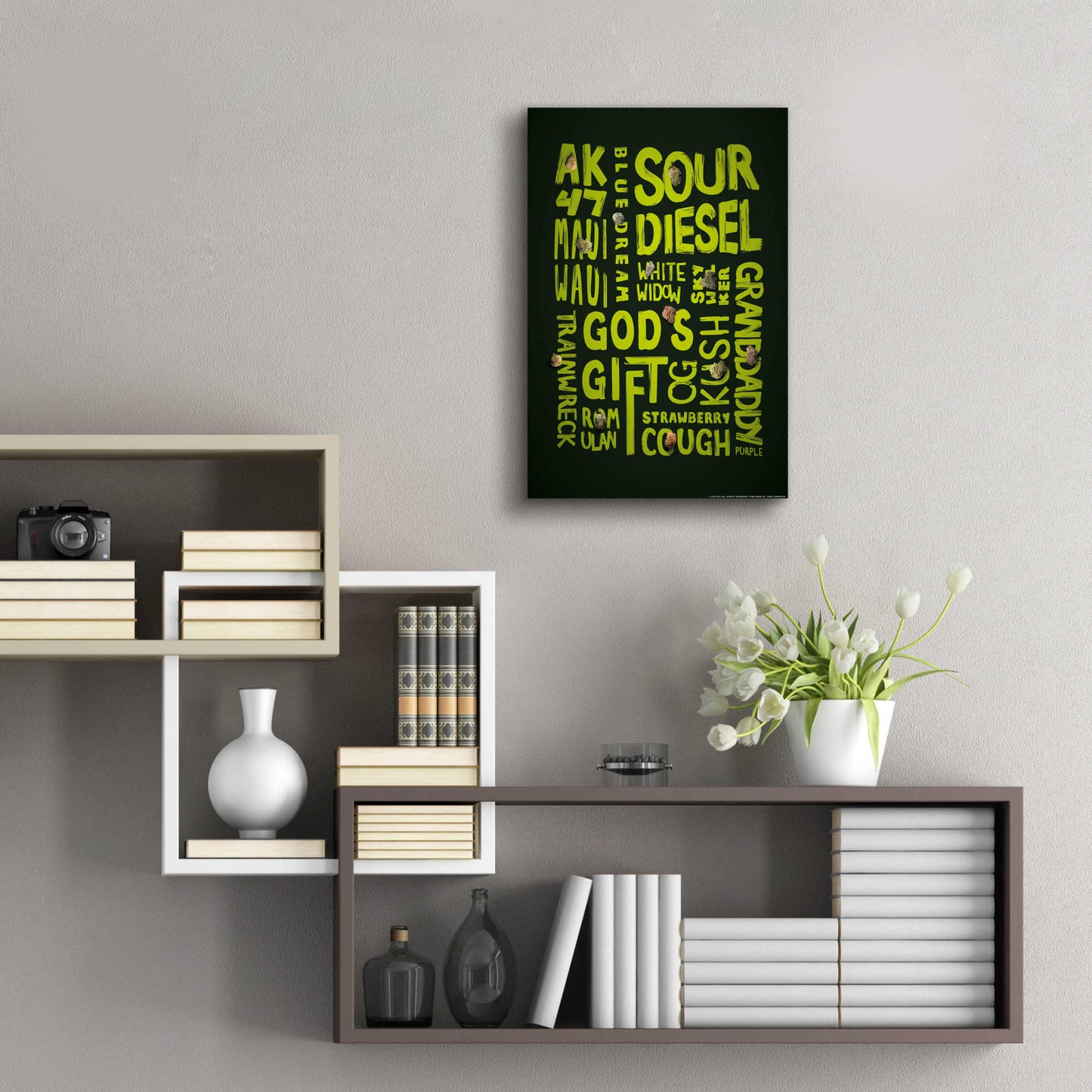 Epic Art 'Green Words' by JJ Brando, Acrylic Glass Wall Art,16x24