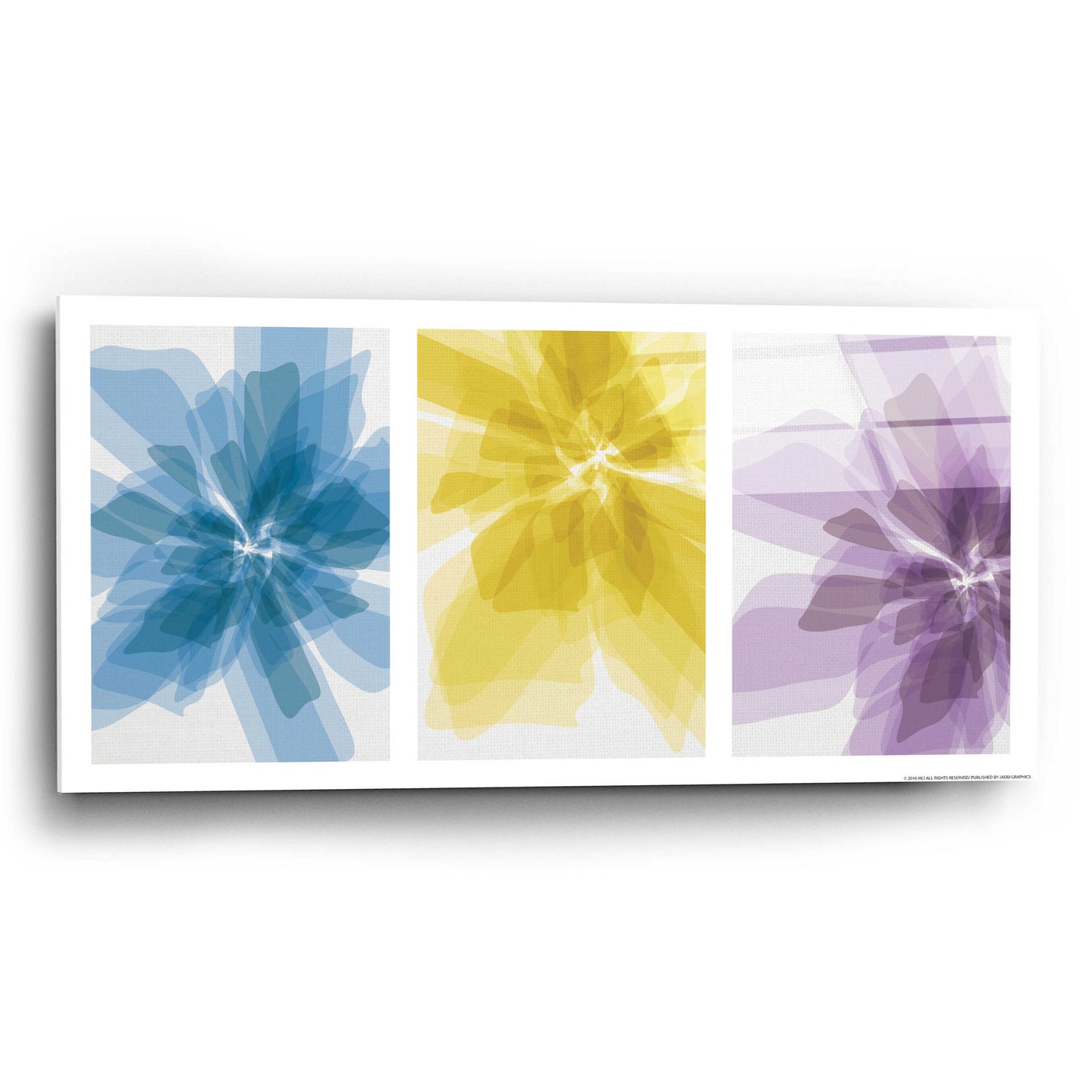 Epic Art 'Three Xray Flowers' by JJ Brando, Acrylic Glass Wall Art,24x12