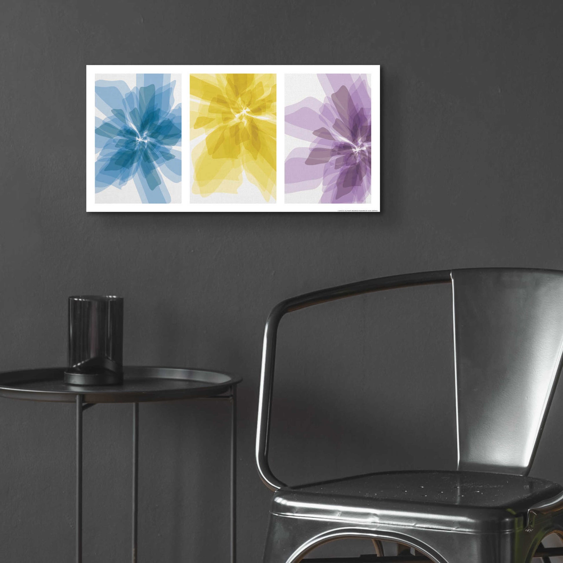 Epic Art 'Three Xray Flowers' by JJ Brando, Acrylic Glass Wall Art,24x12