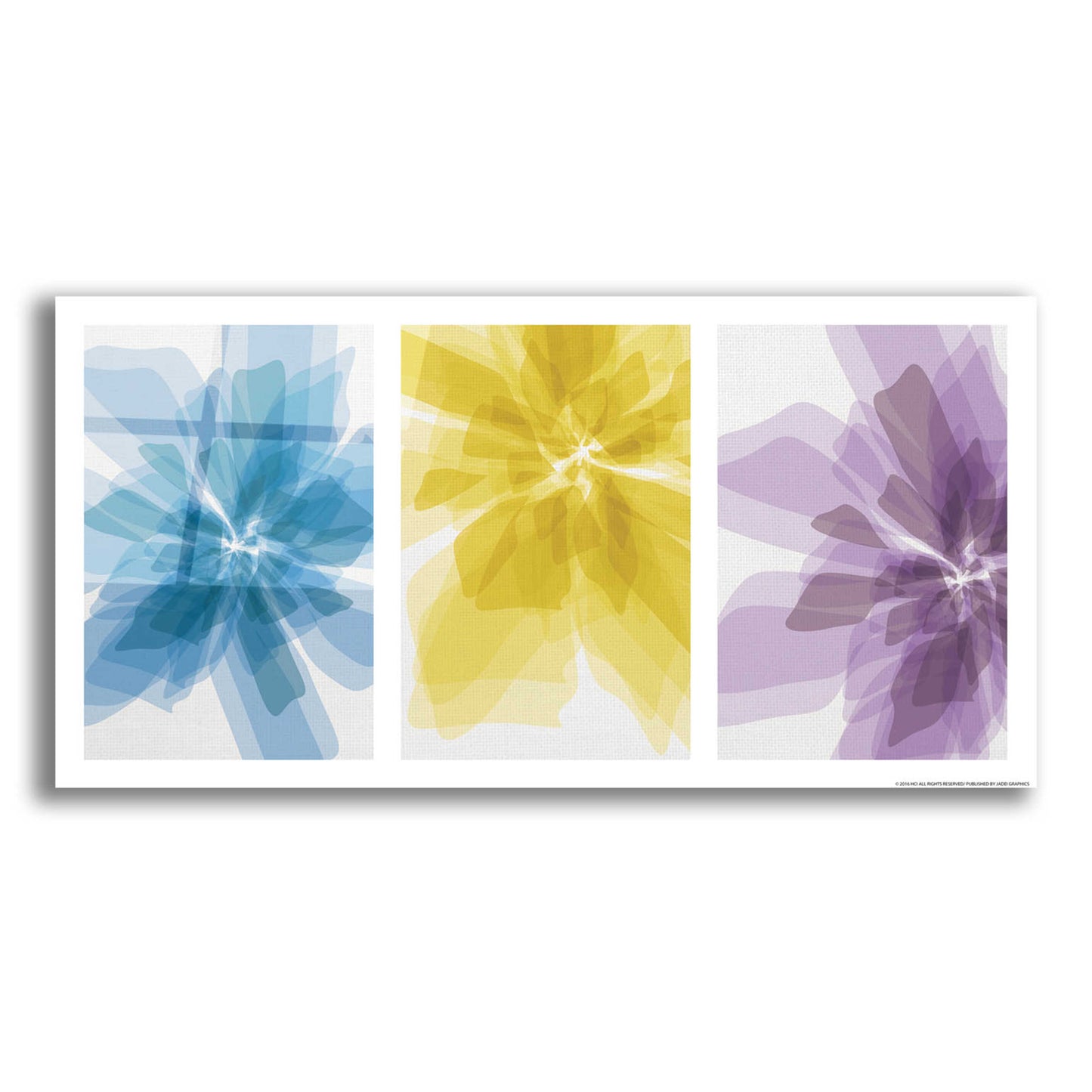 Epic Art 'Three Xray Flowers' by JJ Brando, Acrylic Glass Wall Art,24x12