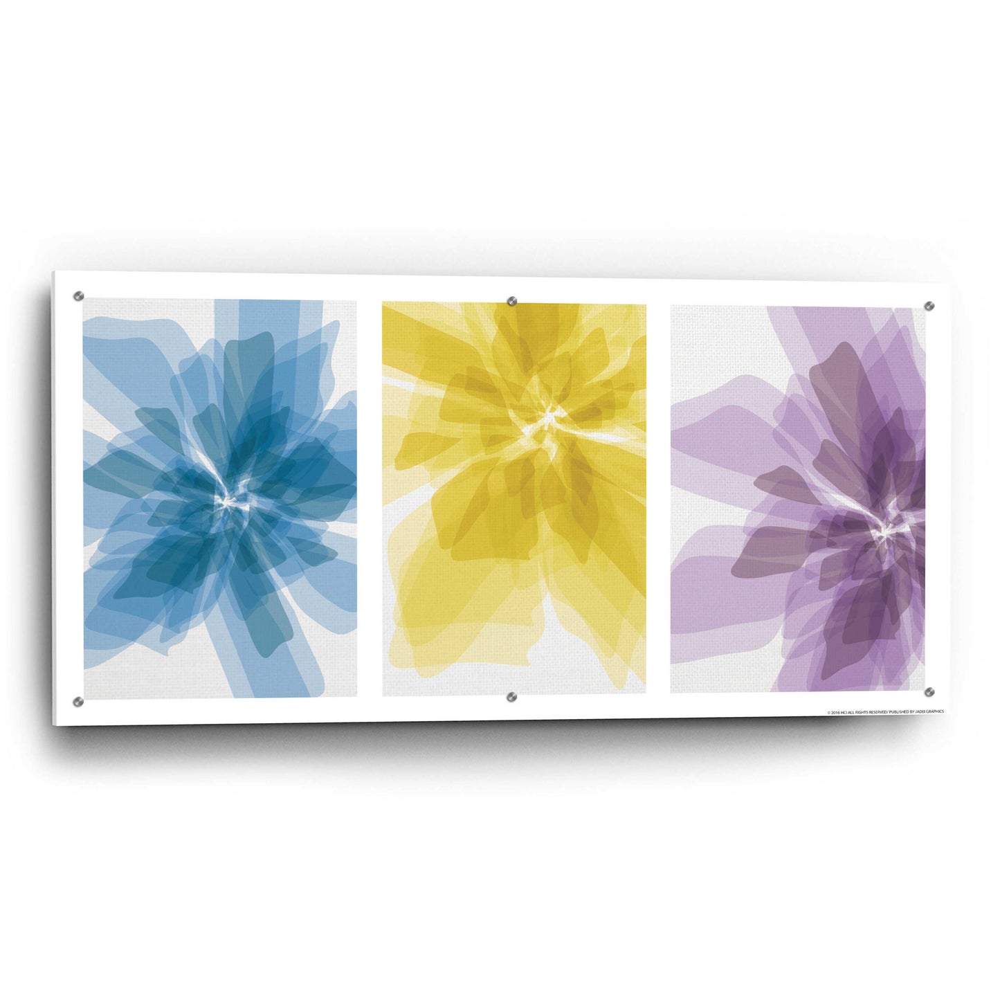 Epic Art 'Three Xray Flowers' by JJ Brando, Acrylic Glass Wall Art,48x24