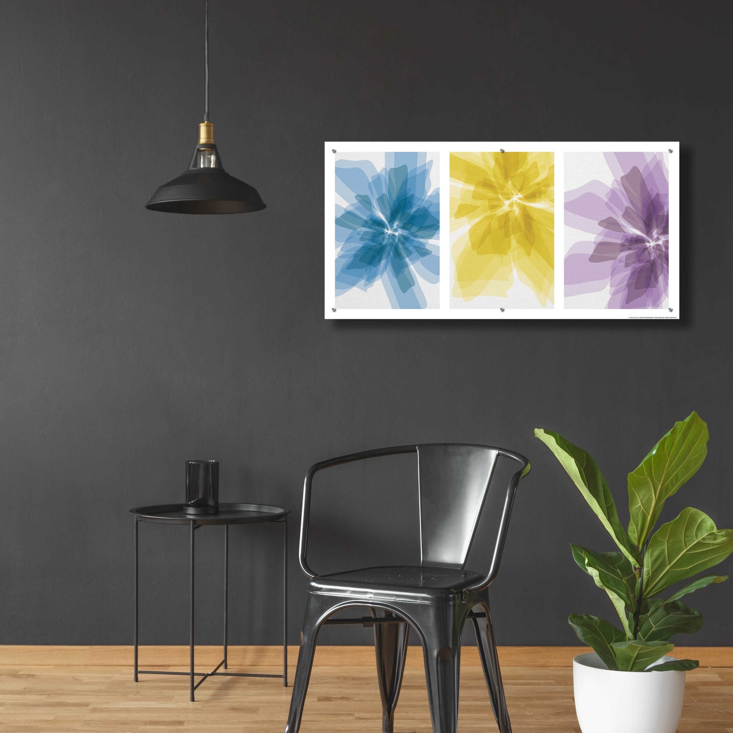 Epic Art 'Three Xray Flowers' by JJ Brando, Acrylic Glass Wall Art,48x24