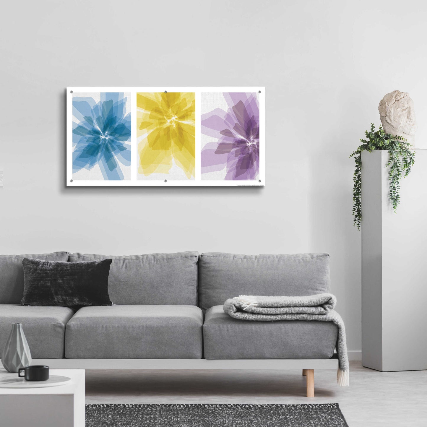 Epic Art 'Three Xray Flowers' by JJ Brando, Acrylic Glass Wall Art,48x24