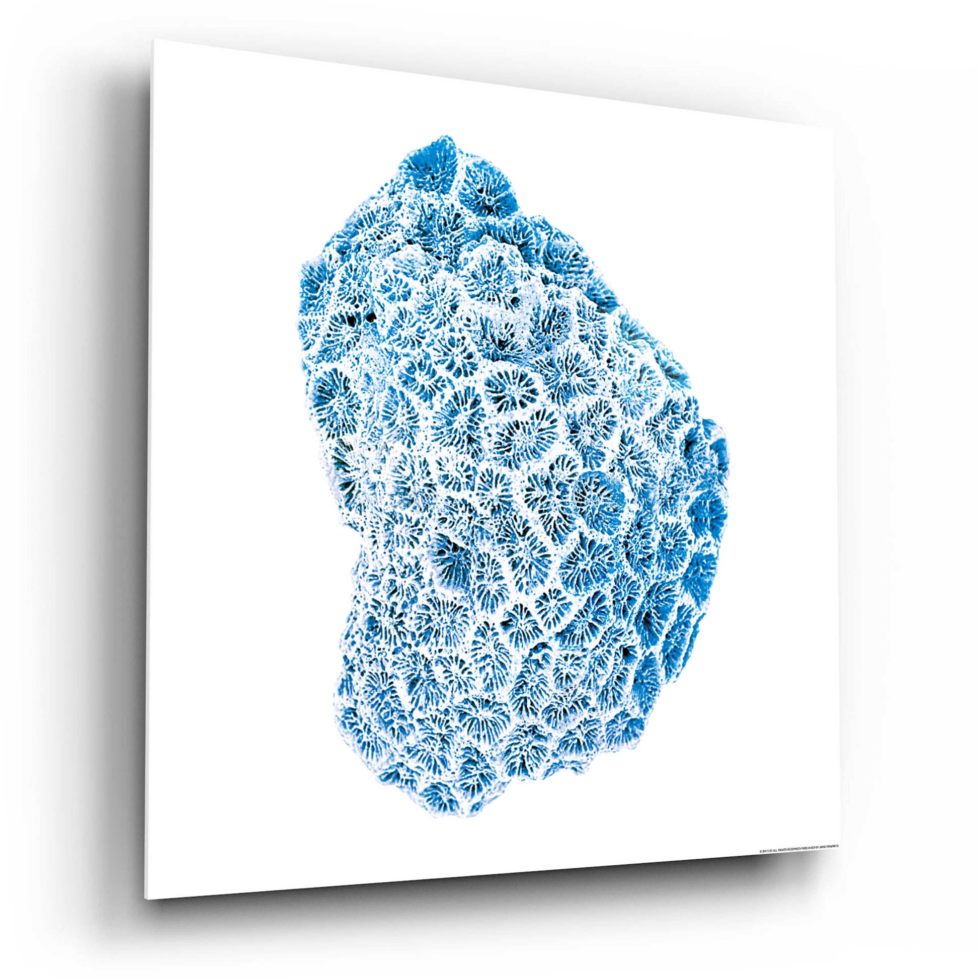 Epic Art 'Blue Coral' by JJ Brando, Acrylic Glass Wall Art,12x12