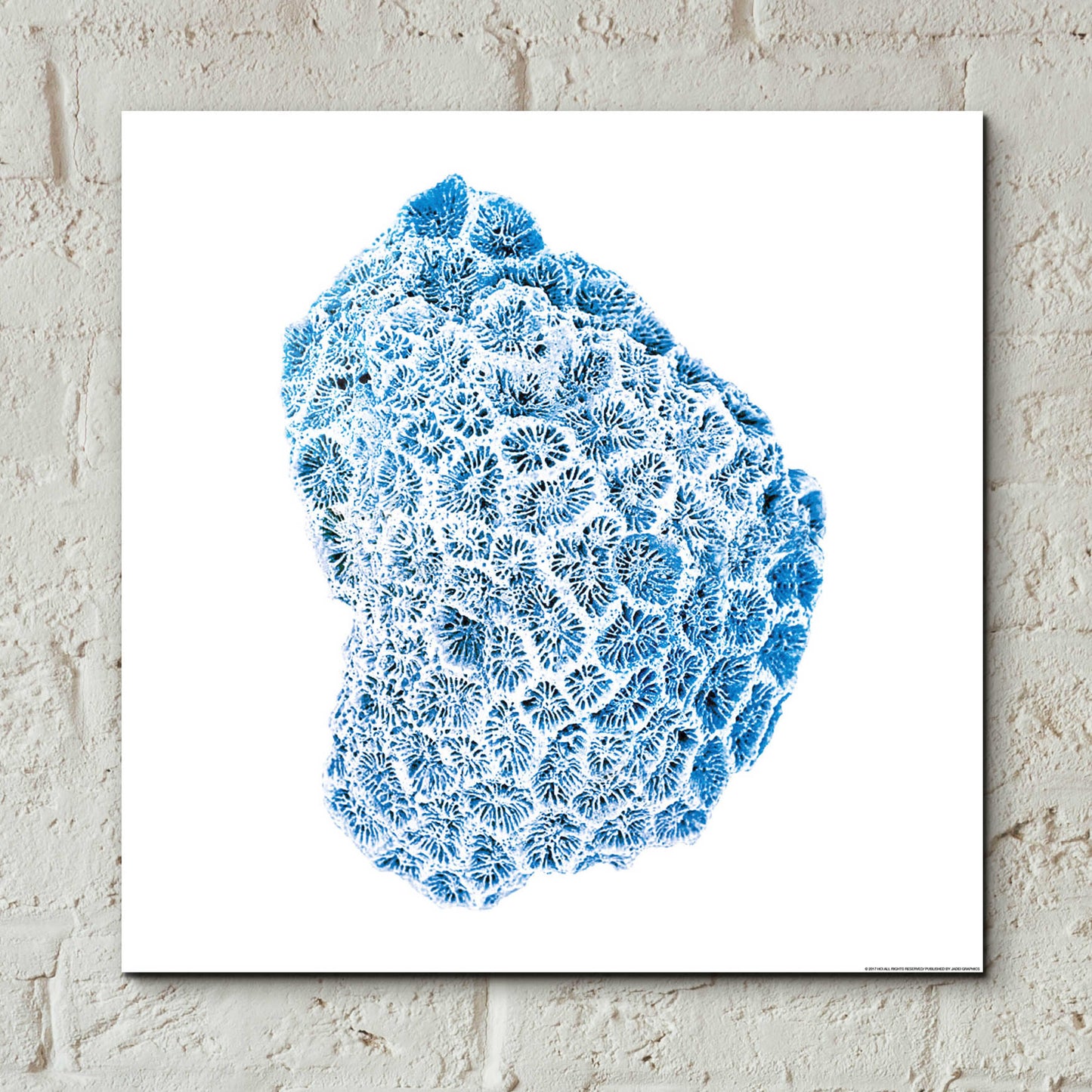 Epic Art 'Blue Coral' by JJ Brando, Acrylic Glass Wall Art,12x12