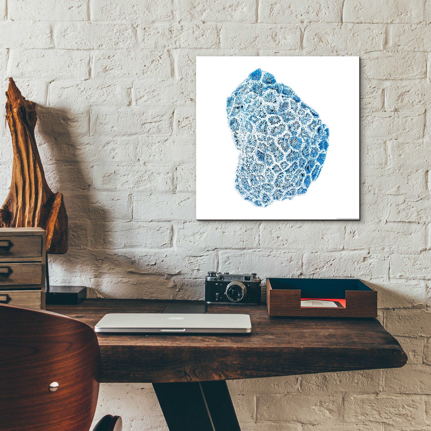 Epic Art 'Blue Coral' by JJ Brando, Acrylic Glass Wall Art,12x12