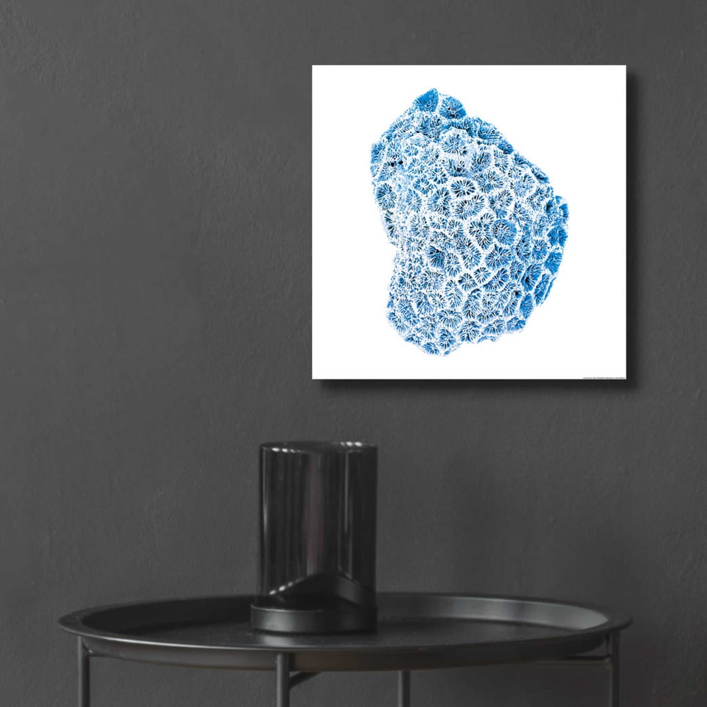 Epic Art 'Blue Coral' by JJ Brando, Acrylic Glass Wall Art,12x12