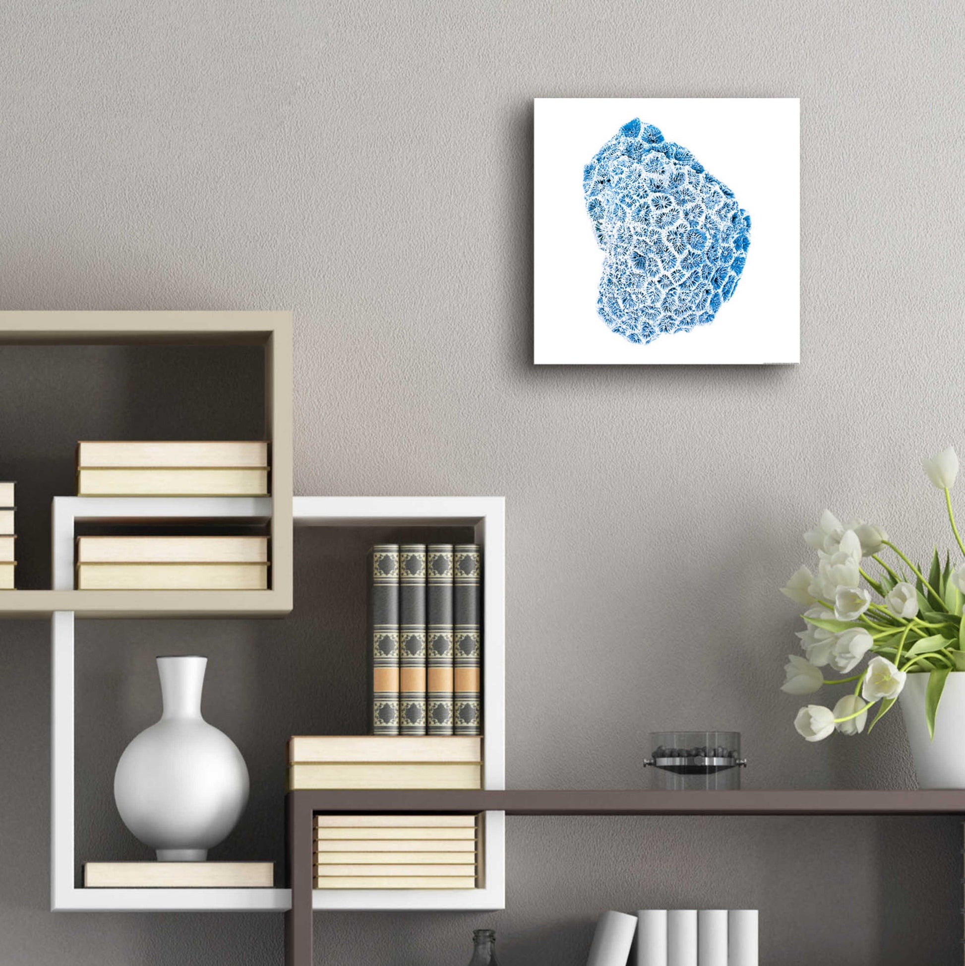 Epic Art 'Blue Coral' by JJ Brando, Acrylic Glass Wall Art,12x12