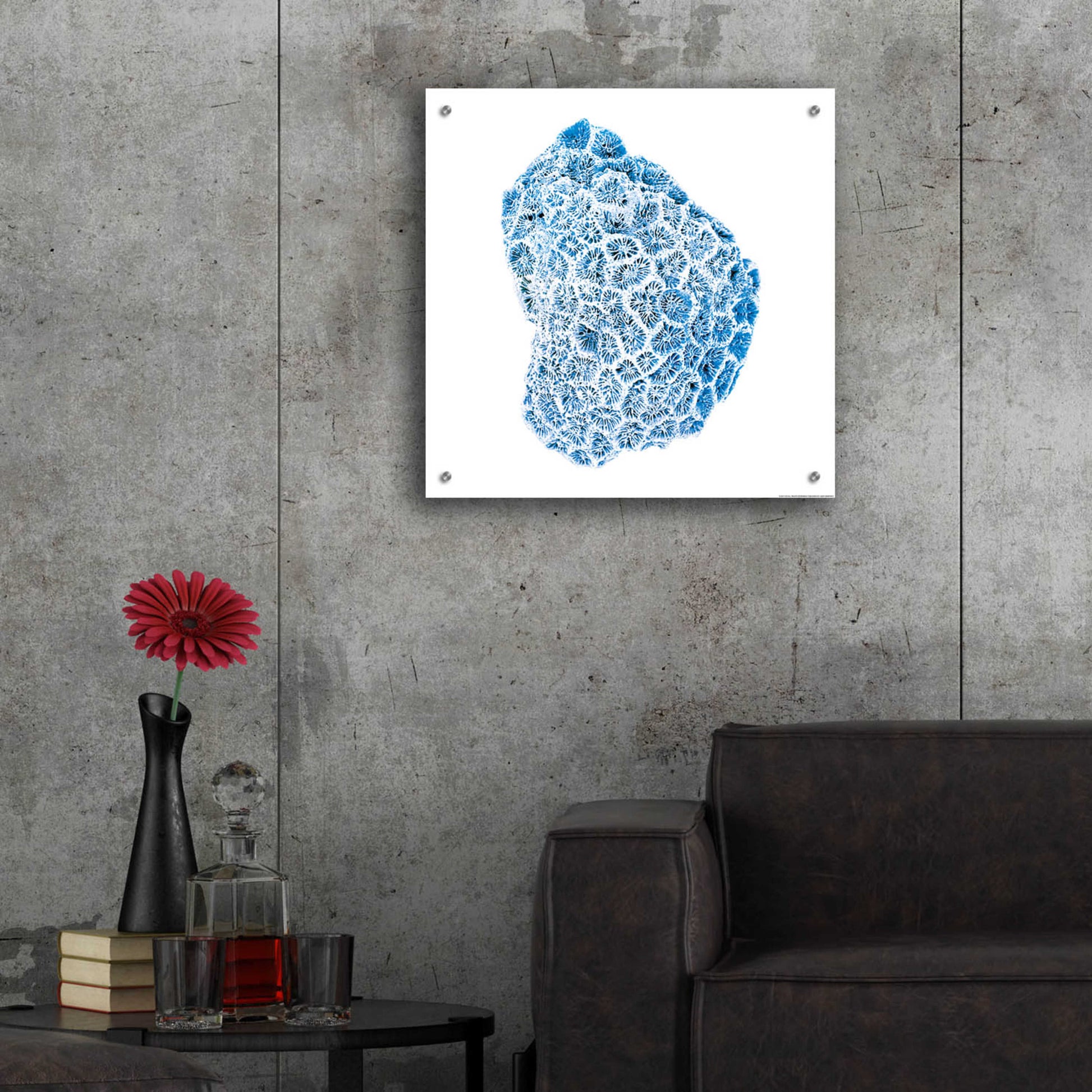 Epic Art 'Blue Coral' by JJ Brando, Acrylic Glass Wall Art,24x24