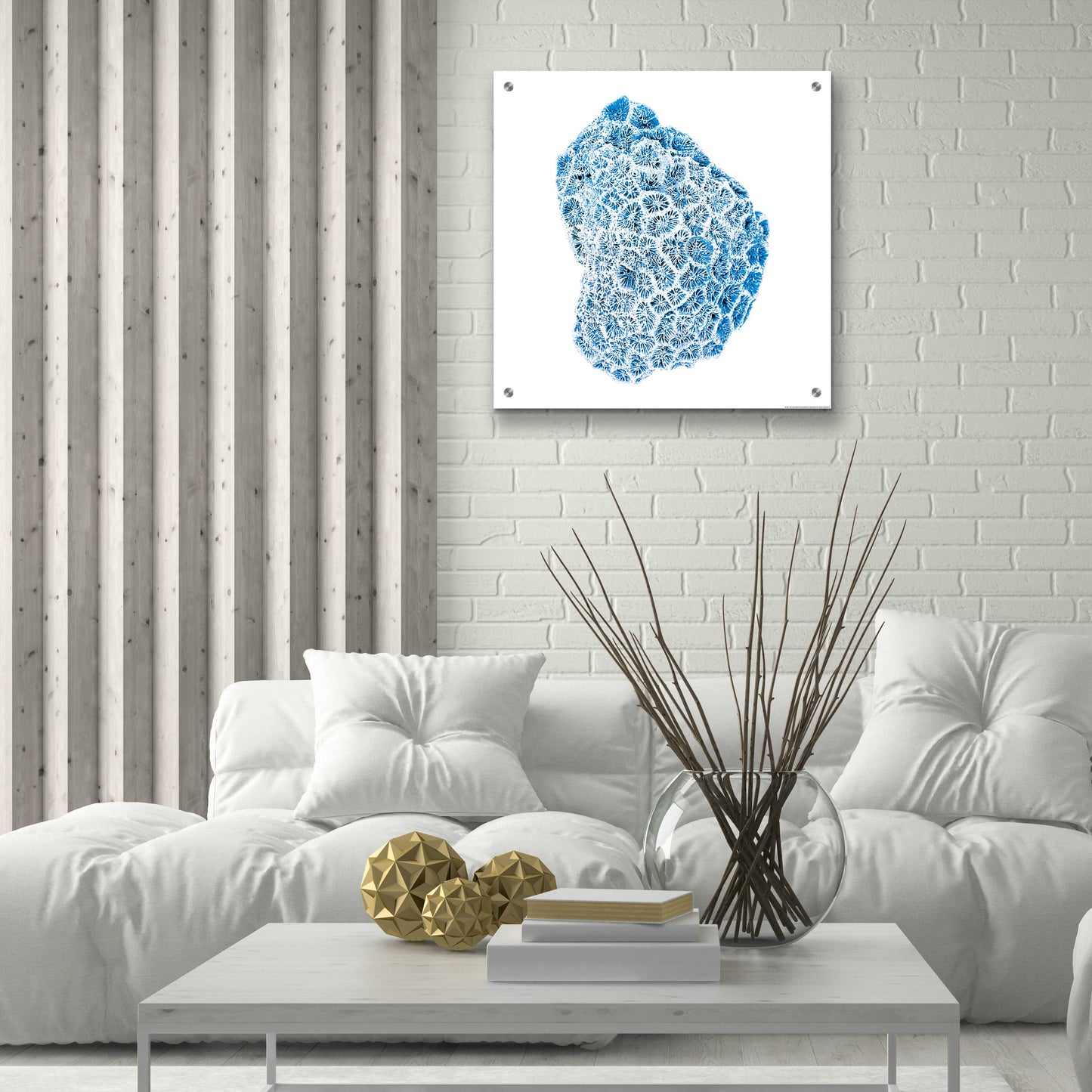 Epic Art 'Blue Coral' by JJ Brando, Acrylic Glass Wall Art,24x24