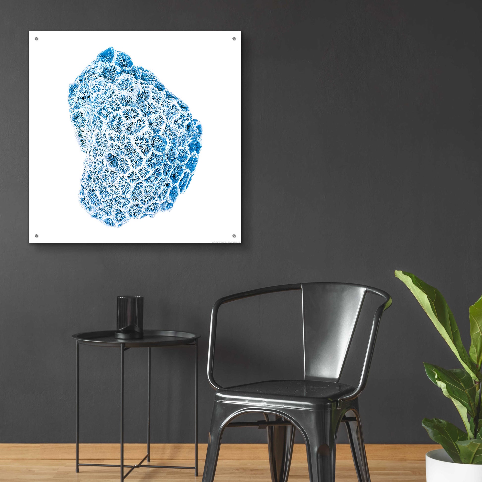 Epic Art 'Blue Coral' by JJ Brando, Acrylic Glass Wall Art,36x36