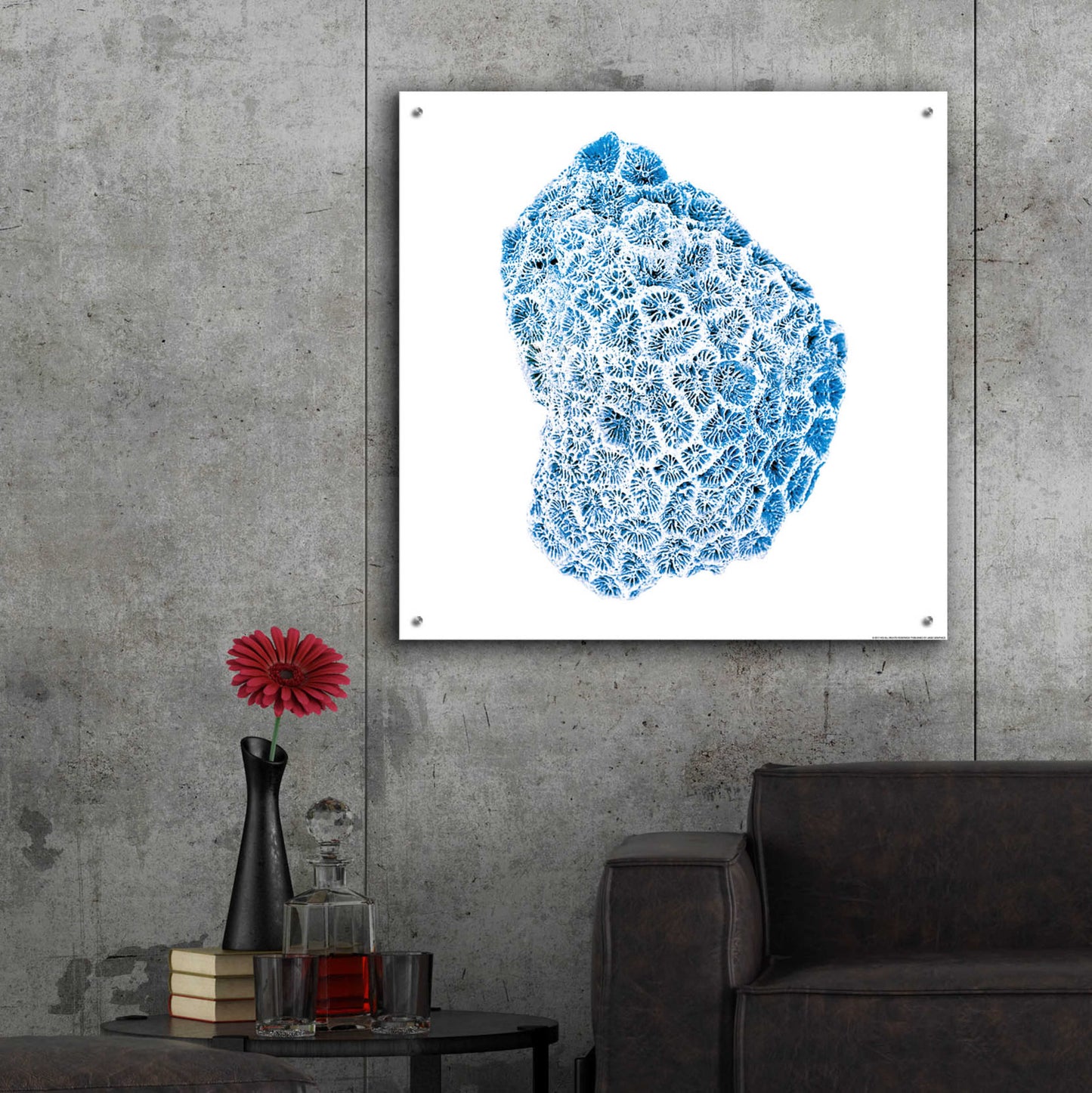 Epic Art 'Blue Coral' by JJ Brando, Acrylic Glass Wall Art,36x36
