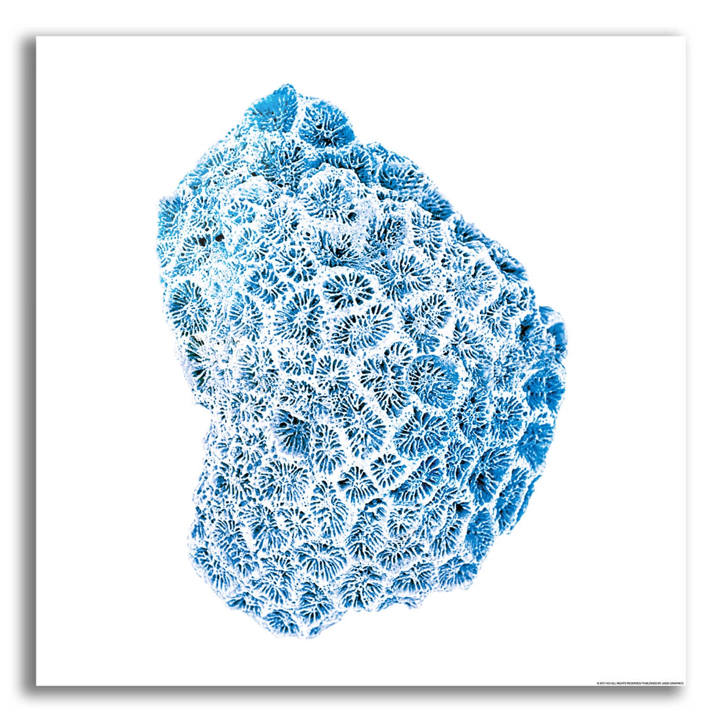 Epic Art 'Blue Coral' by JJ Brando, Acrylic Glass Wall Art