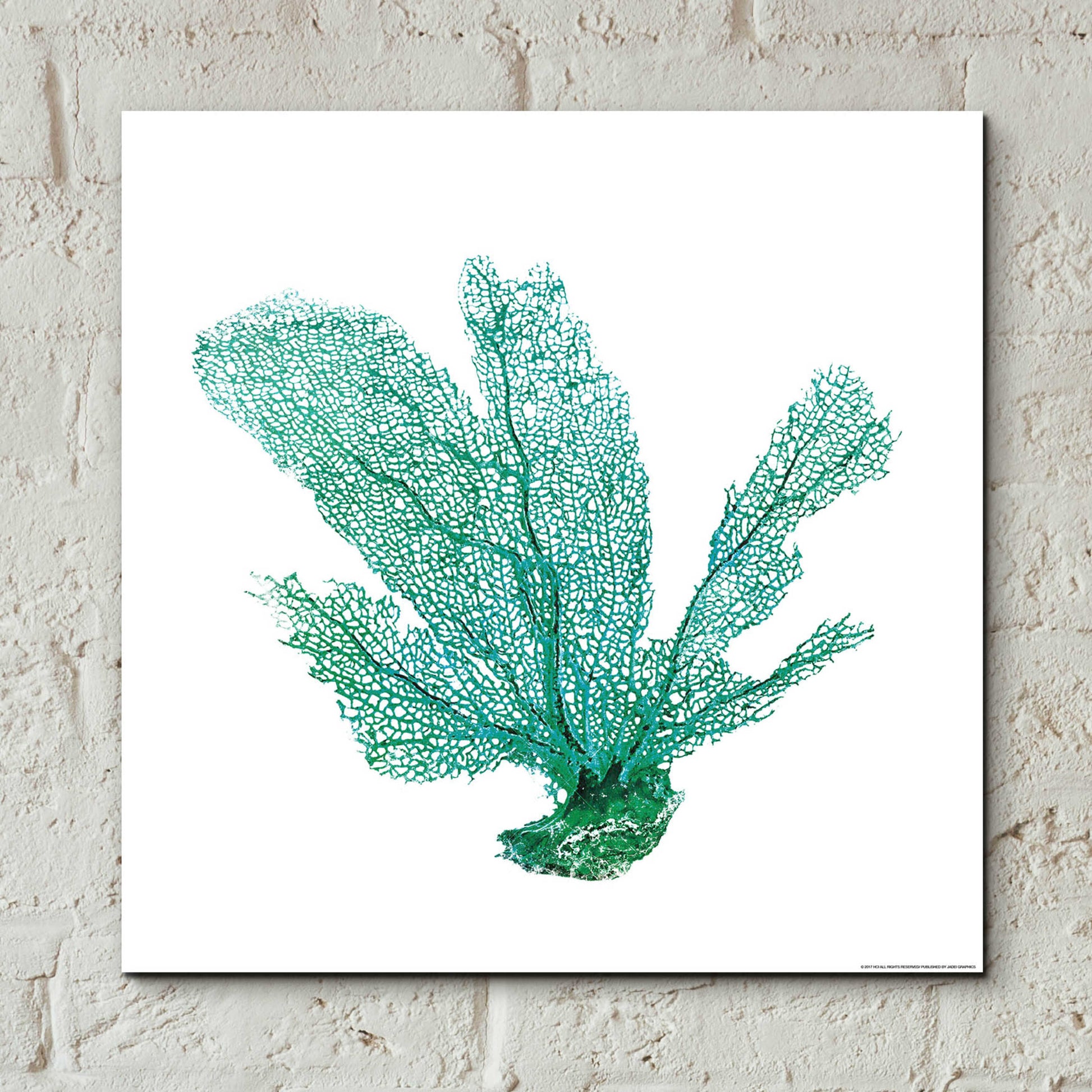 Epic Art 'Green Sea Fan' by JJ Brando, Acrylic Glass Wall Art,12x12