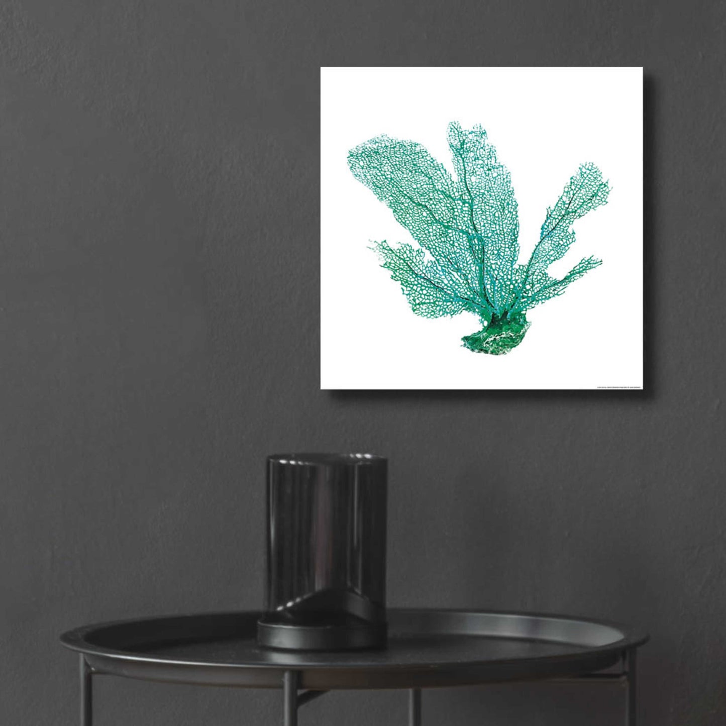 Epic Art 'Green Sea Fan' by JJ Brando, Acrylic Glass Wall Art,12x12