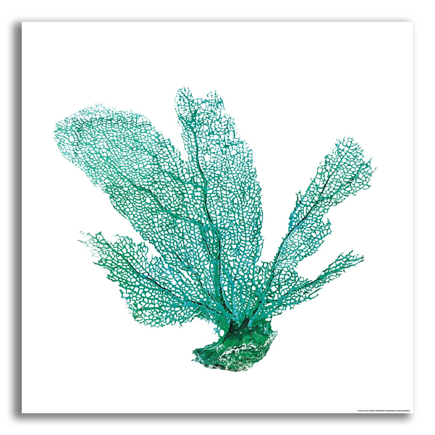 Epic Art 'Green Sea Fan' by JJ Brando, Acrylic Glass Wall Art,12x12