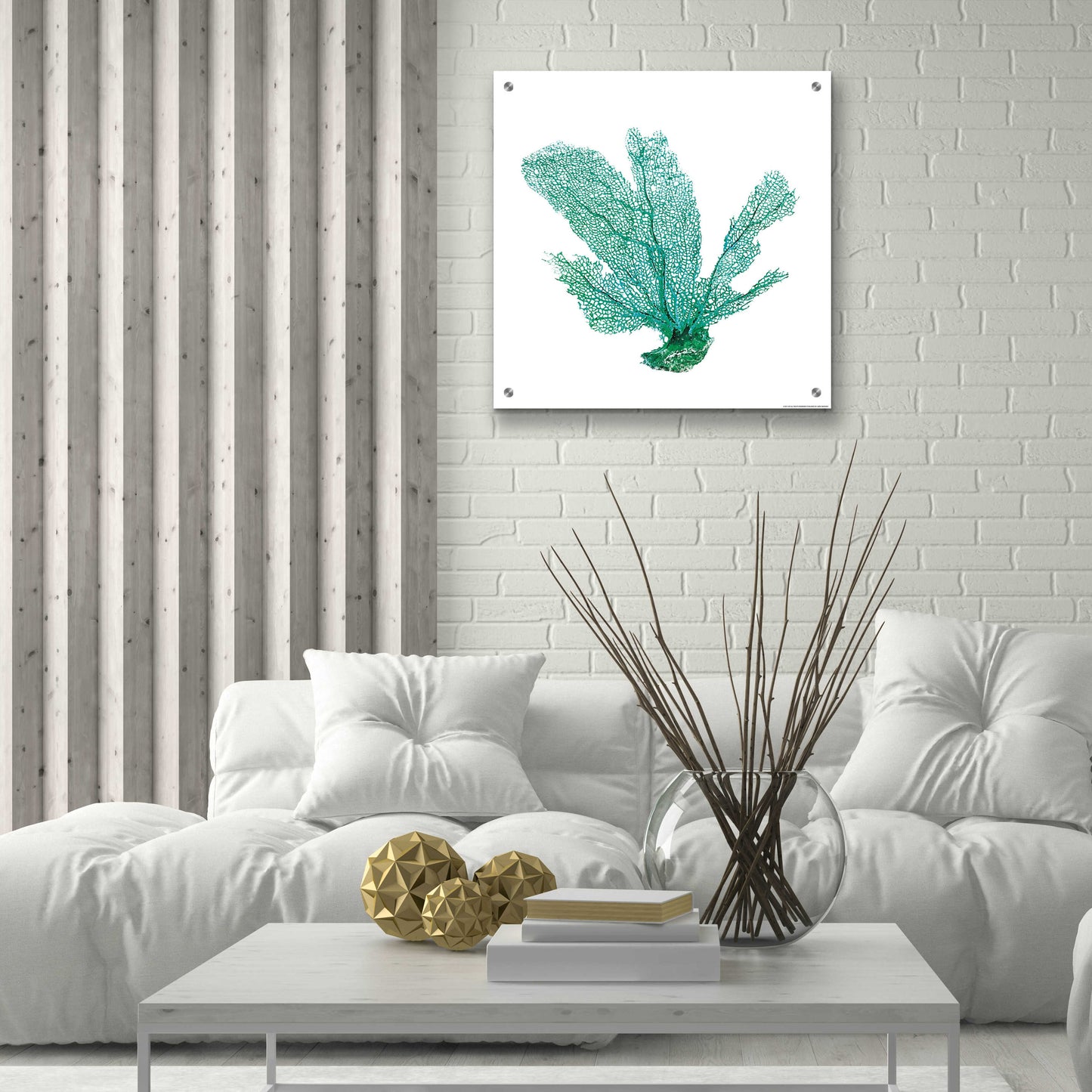 Epic Art 'Green Sea Fan' by JJ Brando, Acrylic Glass Wall Art,24x24