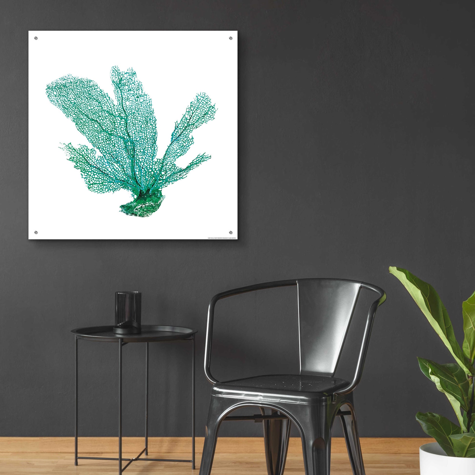 Epic Art 'Green Sea Fan' by JJ Brando, Acrylic Glass Wall Art,36x36