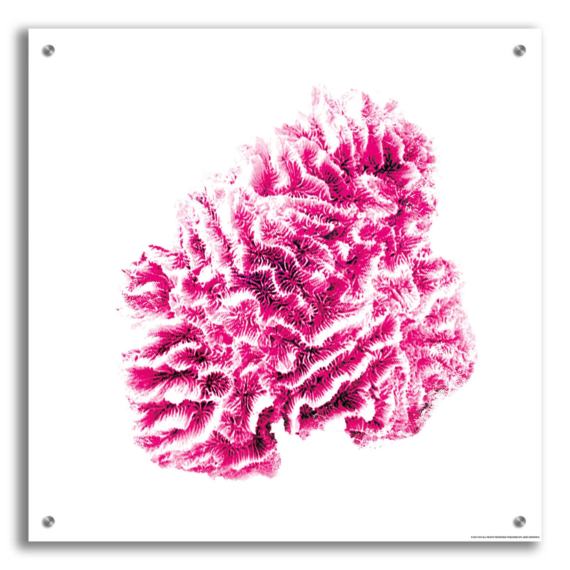 Epic Art 'Red Coral' by JJ Brando, Acrylic Glass Wall Art,24x24