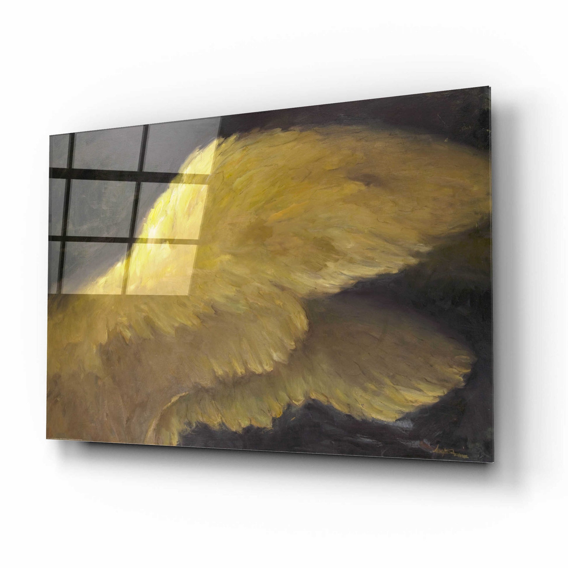 Epic Art 'Golden Wings 1' by Allayn Stevens, Acrylic Glass Wall Art,16x12