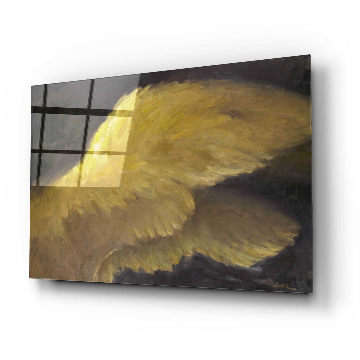 Epic Art 'Golden Wings 1' by Allayn Stevens, Acrylic Glass Wall Art,24x16