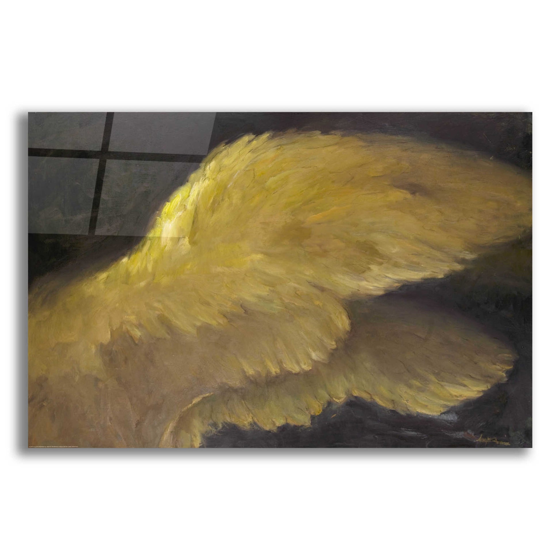 Epic Art 'Golden Wings 1' by Allayn Stevens, Acrylic Glass Wall Art,24x16