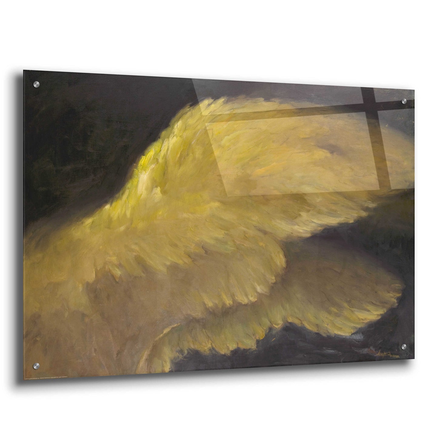 Epic Art 'Golden Wings 1' by Allayn Stevens, Acrylic Glass Wall Art,36x24