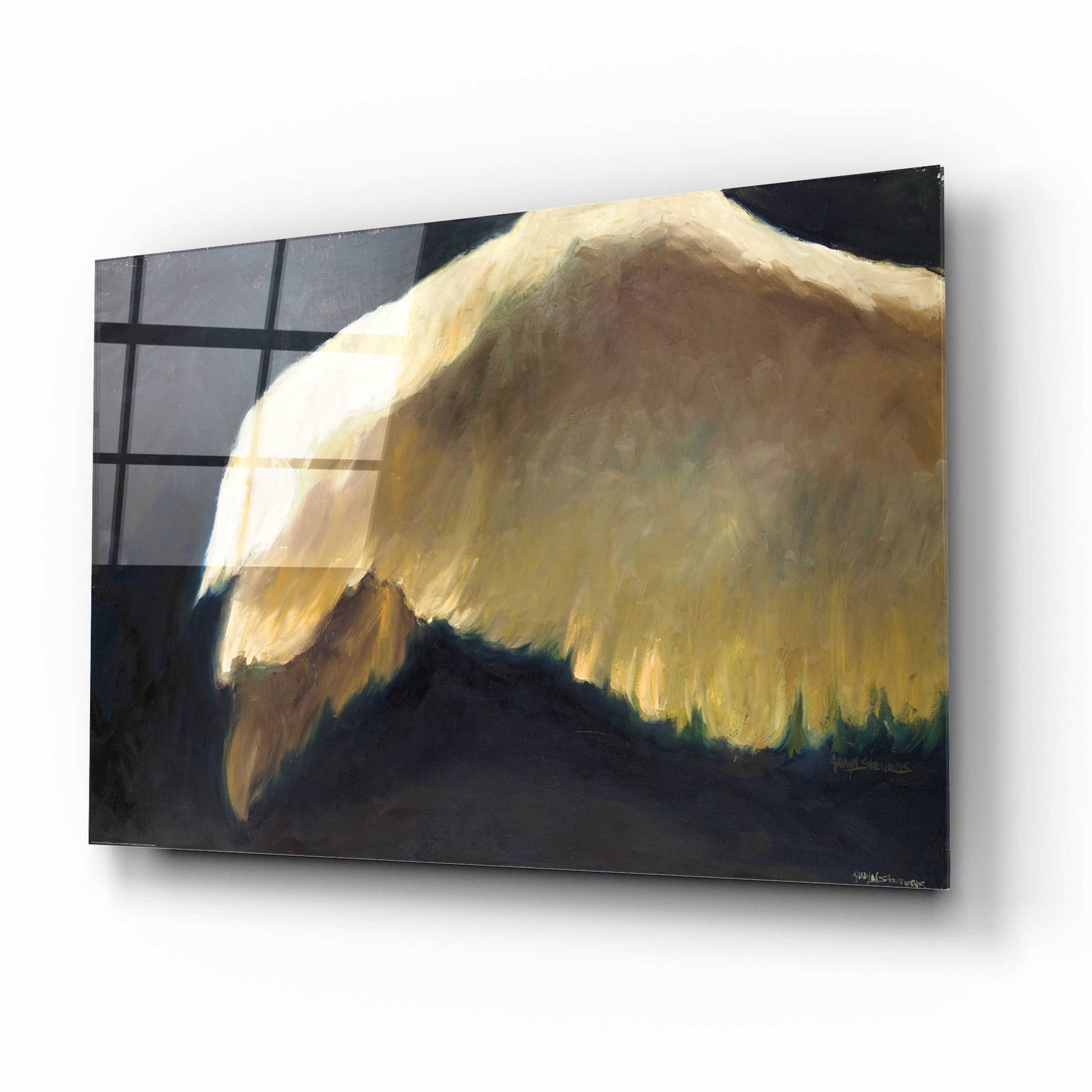 Epic Art 'Golden Wings 2' by Allayn Stevens, Acrylic Glass Wall Art,16x12