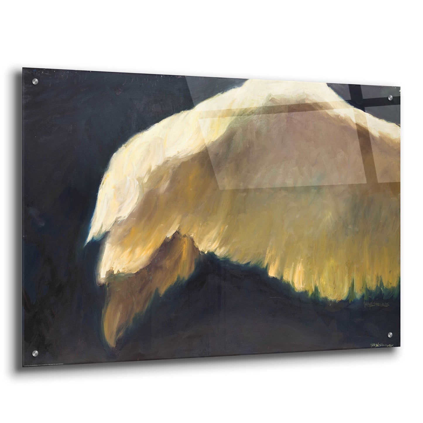 Epic Art 'Golden Wings 2' by Allayn Stevens, Acrylic Glass Wall Art,36x24