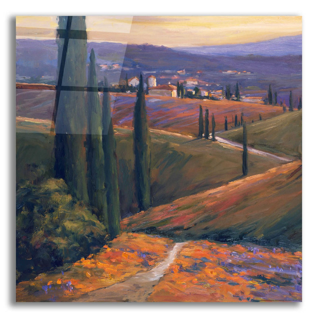 Afternoon 1 by Allayn Stevens acrylic glass wall art