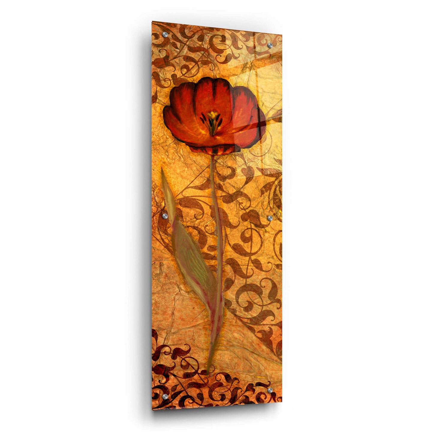 Epic Art 'Red Tulip One' by Viv Eisner, Acrylic Glass Wall Art,12x36