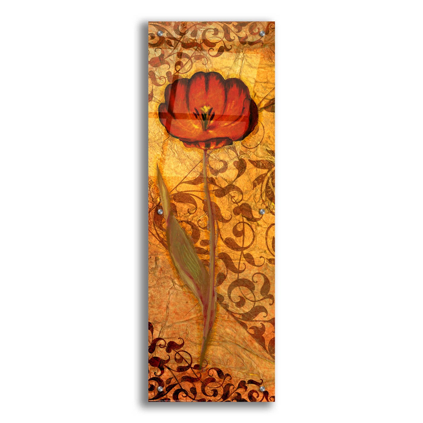 Epic Art 'Red Tulip One' by Viv Eisner, Acrylic Glass Wall Art,12x36