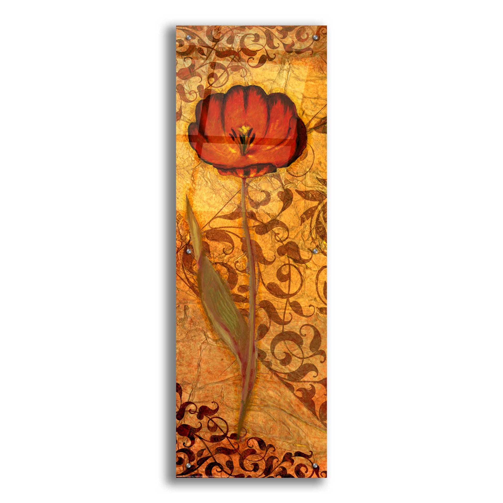 Epic Art 'Red Tulip One' by Viv Eisner, Acrylic Glass Wall Art,16x48