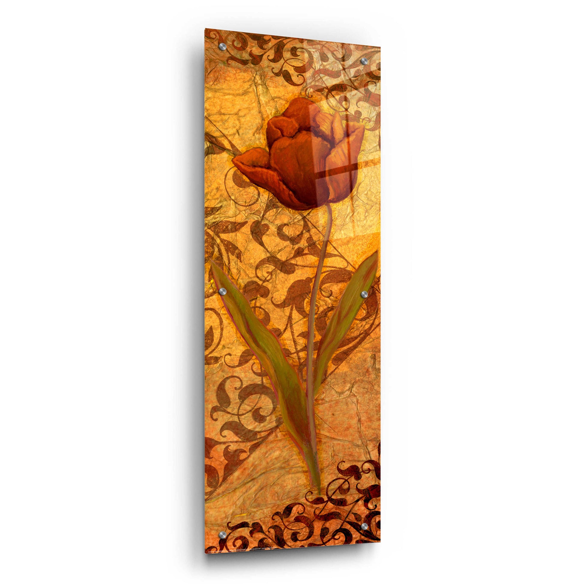 Epic Art 'Red Tulip Two' by Viv Eisner, Acrylic Glass Wall Art,12x36