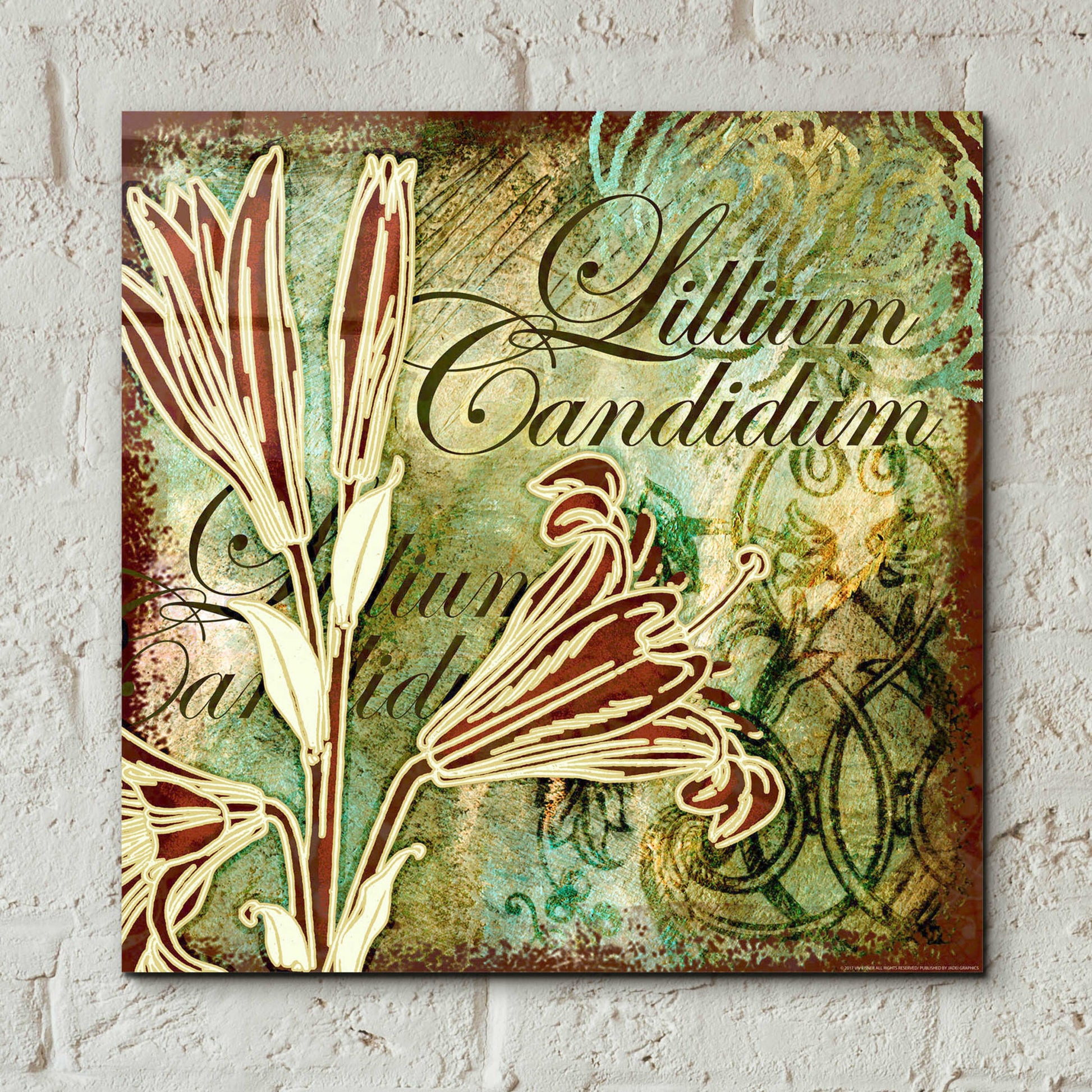 Epic Art 'Lilies 2' by Viv Eisner, Acrylic Glass Wall Art,12x12