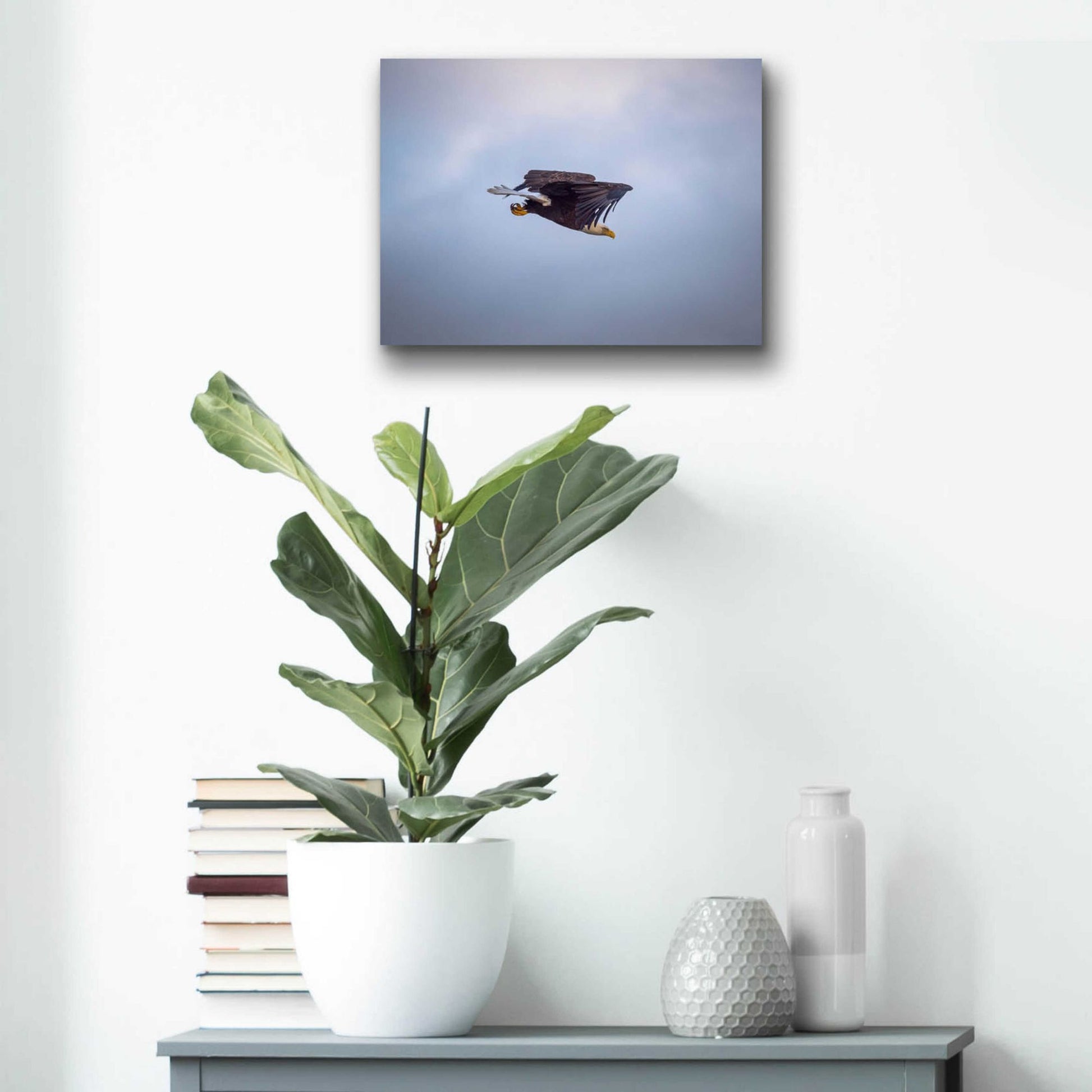 Epic Art 'Bald Eagle Soas' by Epic Portfolio, Acrylic Glass Wall Art,16x12