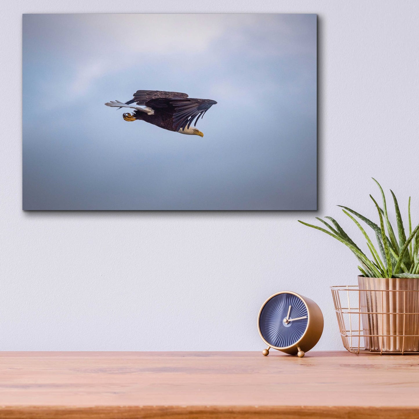 Epic Art 'Bald Eagle Soas' by Epic Portfolio, Acrylic Glass Wall Art,16x12