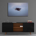 Epic Art 'Bald Eagle Soas' by Epic Portfolio, Acrylic Glass Wall Art,36x24