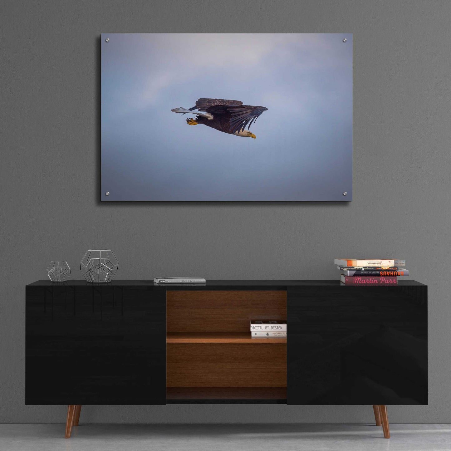 Epic Art 'Bald Eagle Soas' by Epic Portfolio, Acrylic Glass Wall Art,36x24