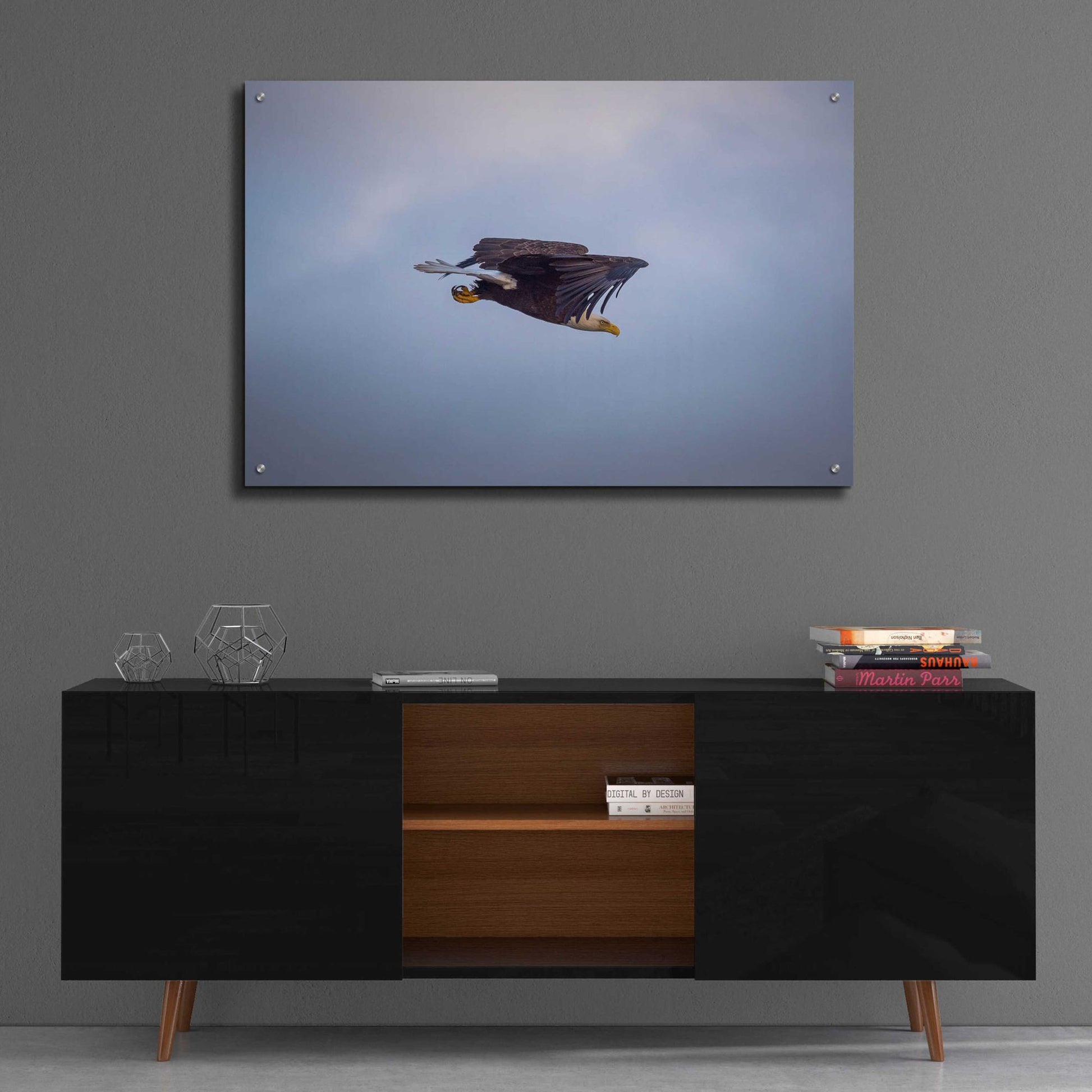 Epic Art 'Bald Eagle Soas' by Epic Portfolio, Acrylic Glass Wall Art,36x24