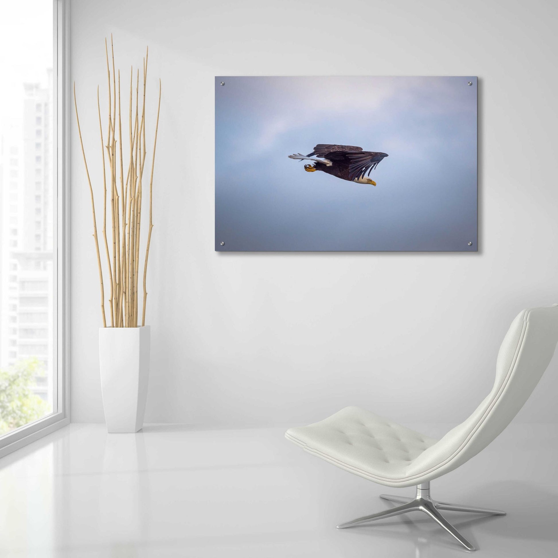 Epic Art 'Bald Eagle Soas' by Epic Portfolio, Acrylic Glass Wall Art,36x24