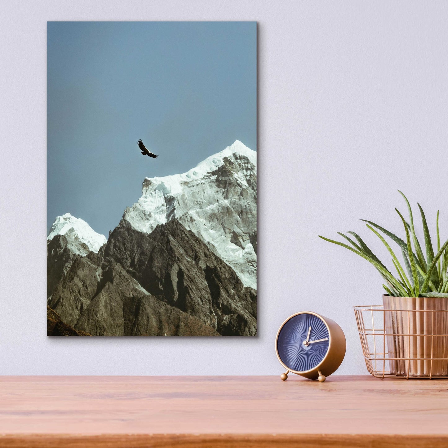 Epic Art 'Himalayan Eagle' by Epic Portfolio, Acrylic Glass Wall Art,12x16