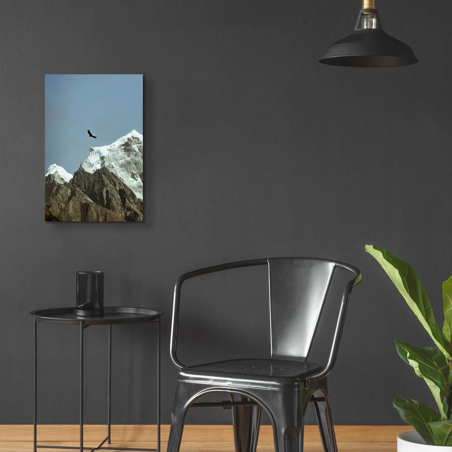 Epic Art 'Himalayan Eagle' by Epic Portfolio, Acrylic Glass Wall Art,16x24