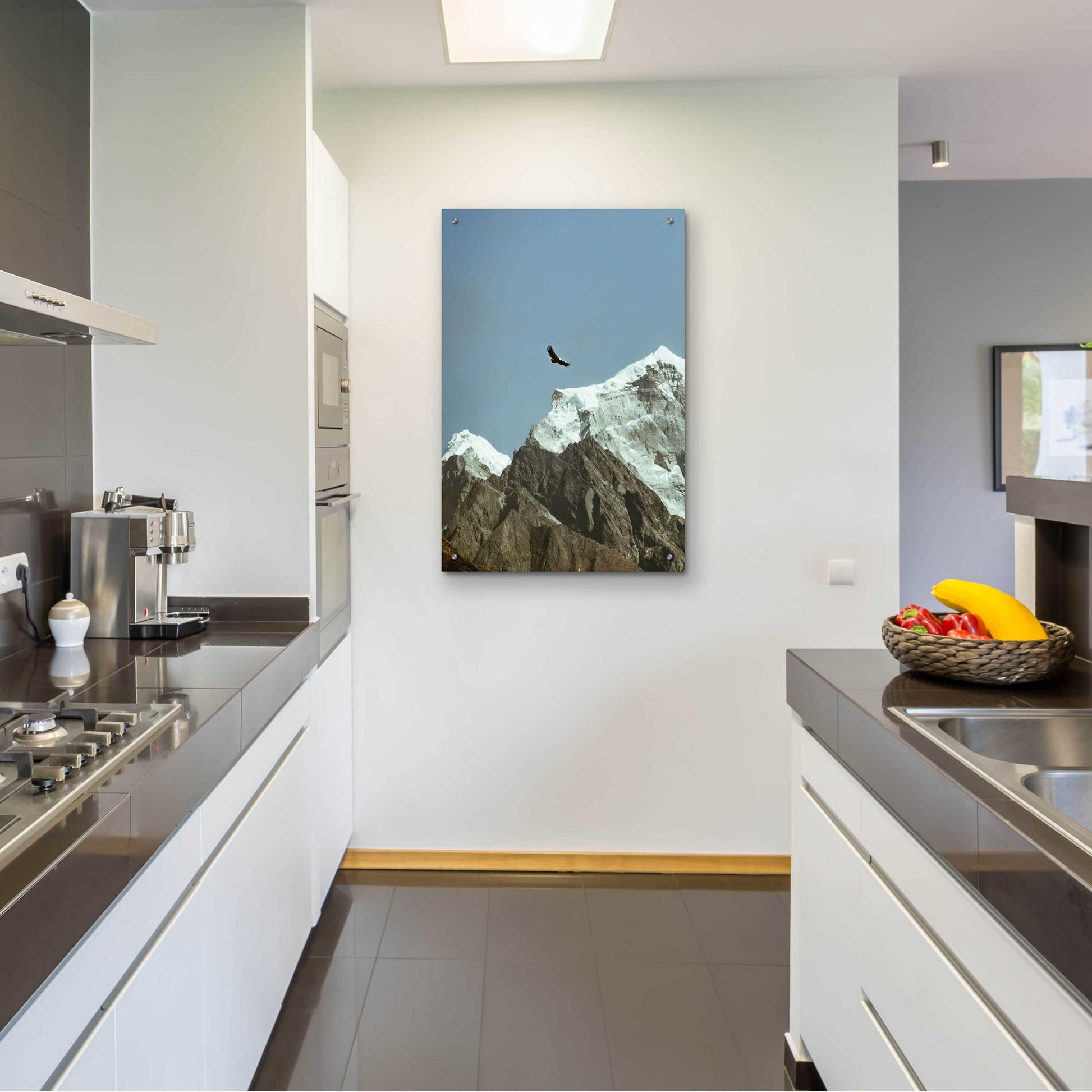 Epic Art 'Himalayan Eagle' by Epic Portfolio, Acrylic Glass Wall Art,24x36