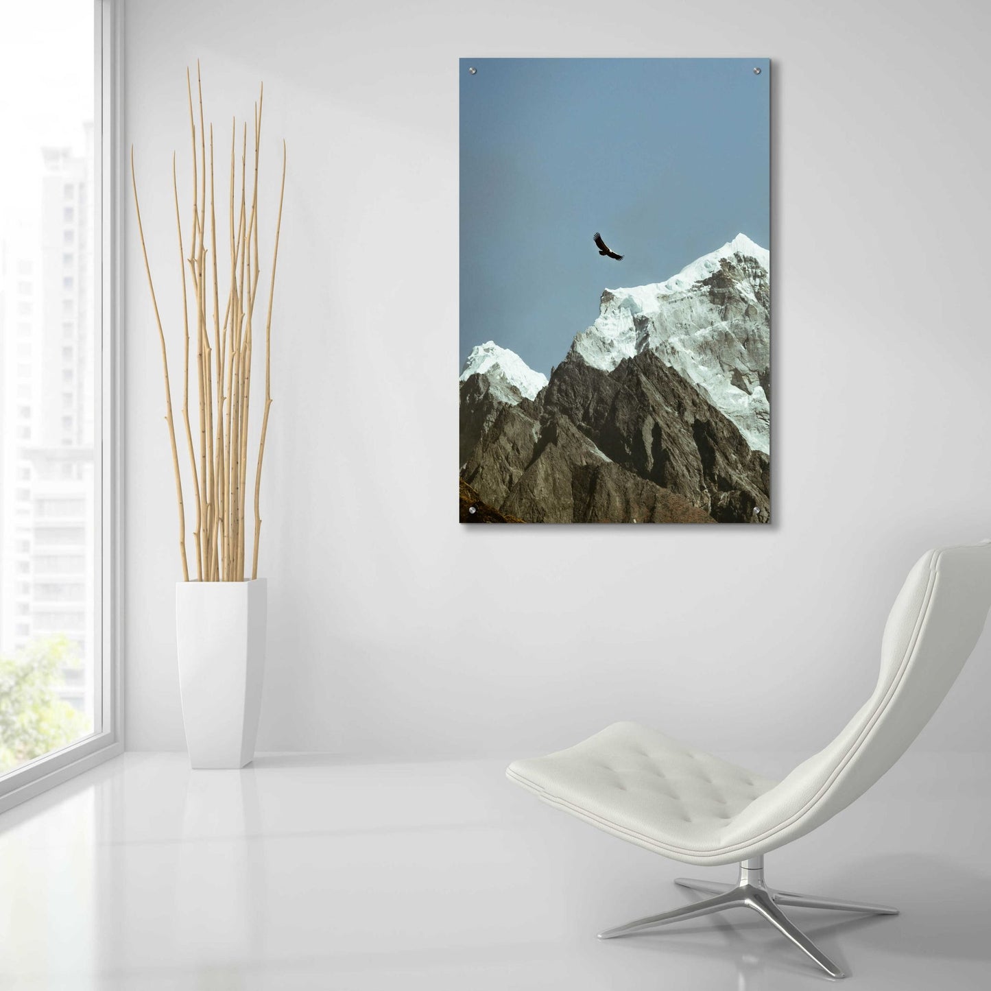 Epic Art 'Himalayan Eagle' by Epic Portfolio, Acrylic Glass Wall Art,24x36