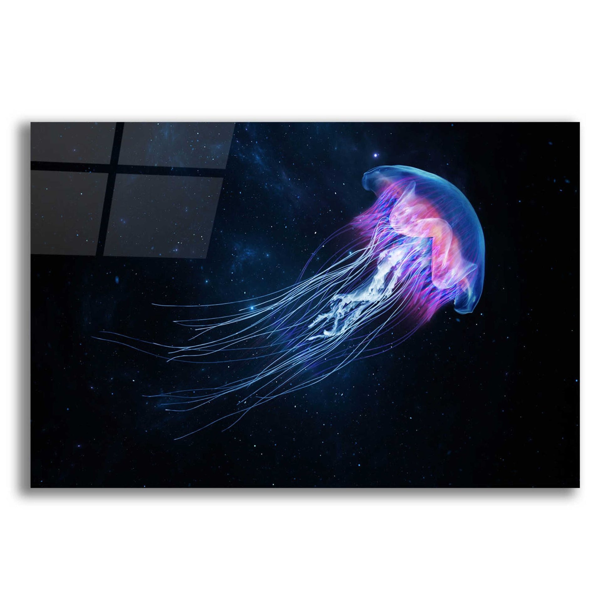 Epic Art 'Jellyfish Spacewalk' by Epic Portfolio, Acrylic Glass Wall Art,16x12