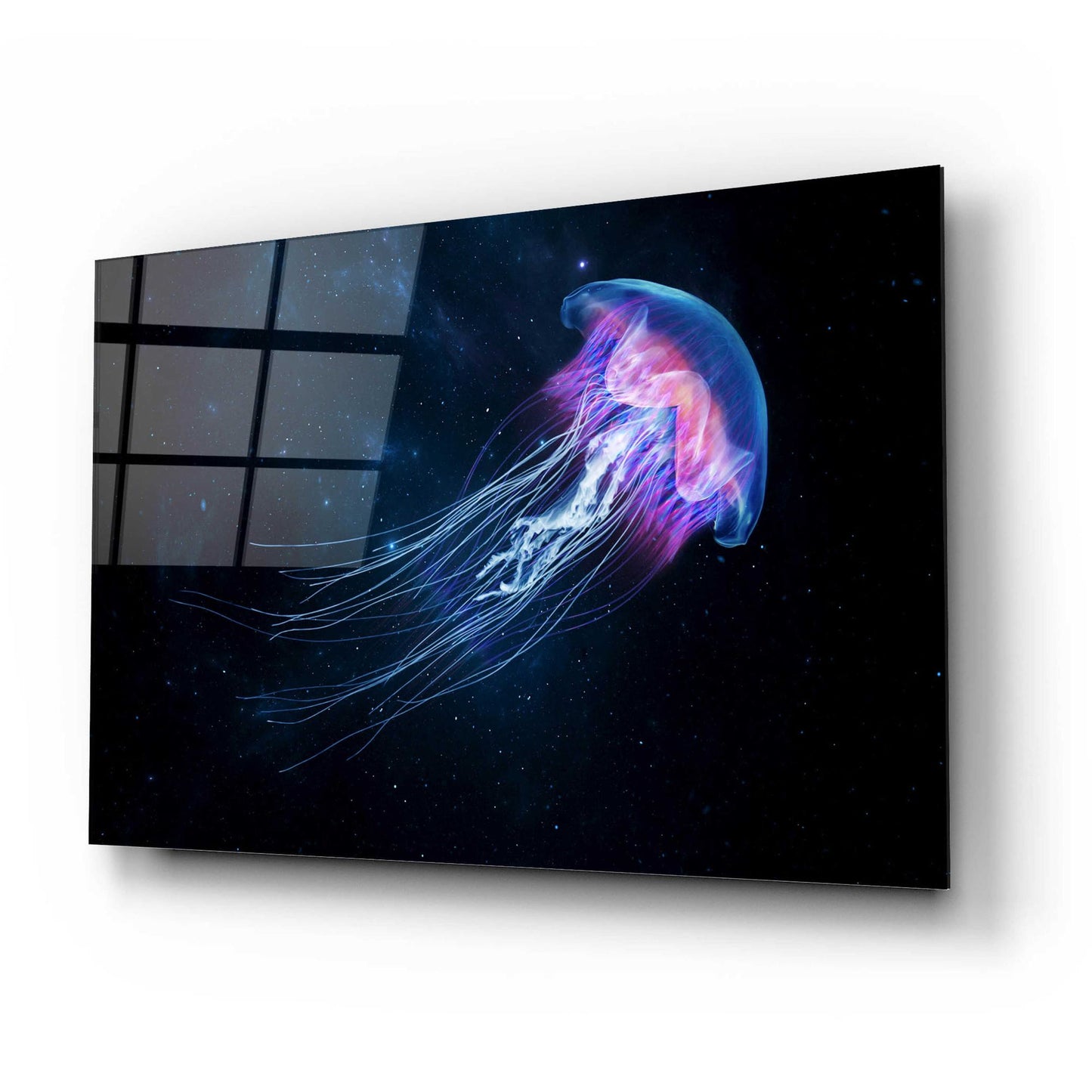 Epic Art 'Jellyfish Spacewalk' by Epic Portfolio, Acrylic Glass Wall Art,24x16